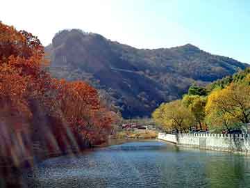 新澳天天开奖资料大全旅游团，井用地热过滤管